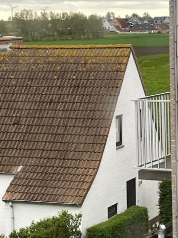ミデルケルケ The Pipers Bed & Breakfast エクステリア 写真